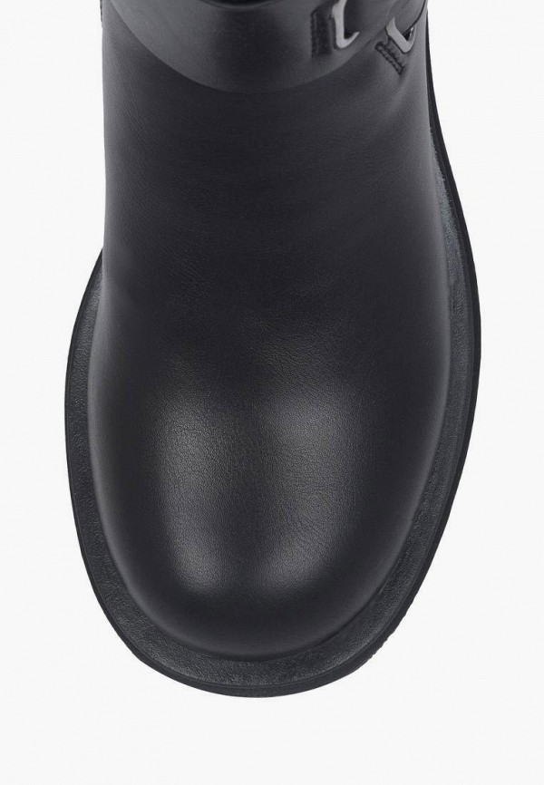 фото Сапоги t.taccardi