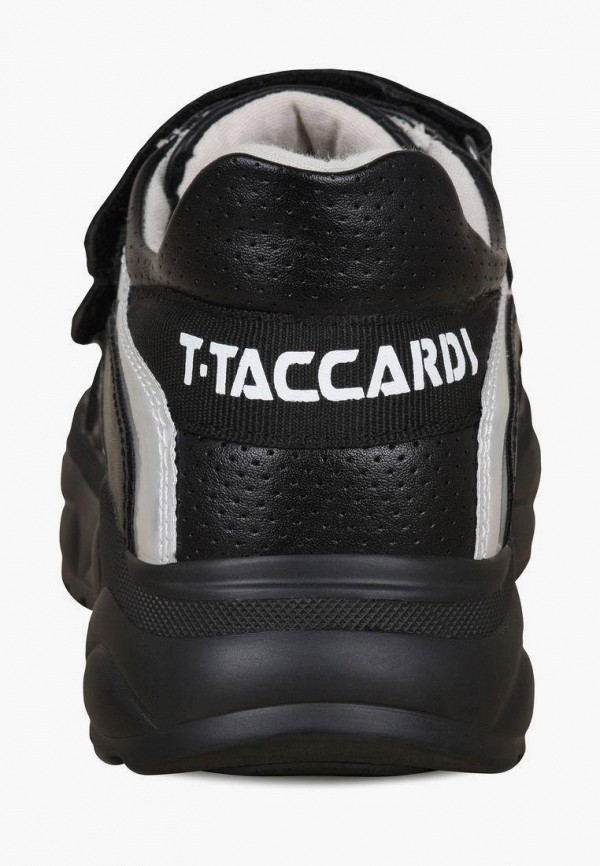 фото Кроссовки t.taccardi