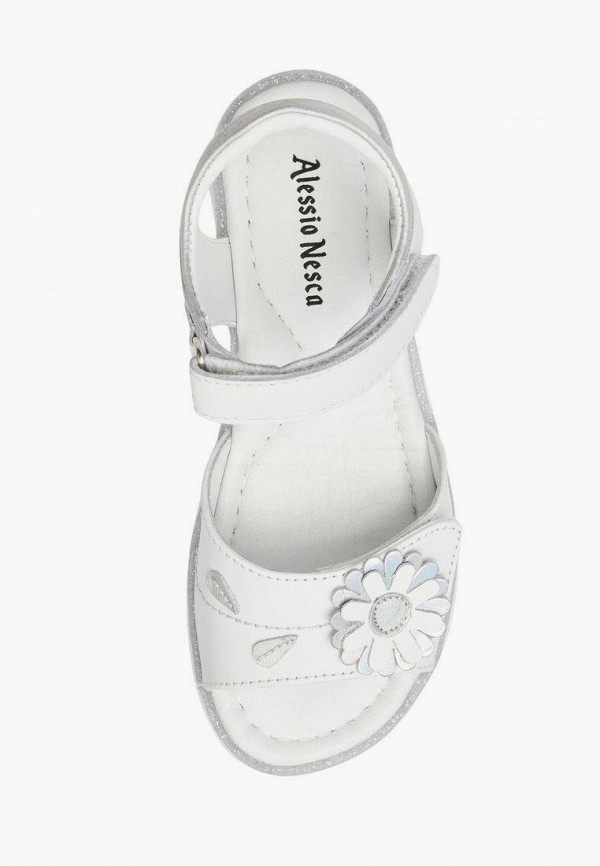 фото Сандалии alessio nesca