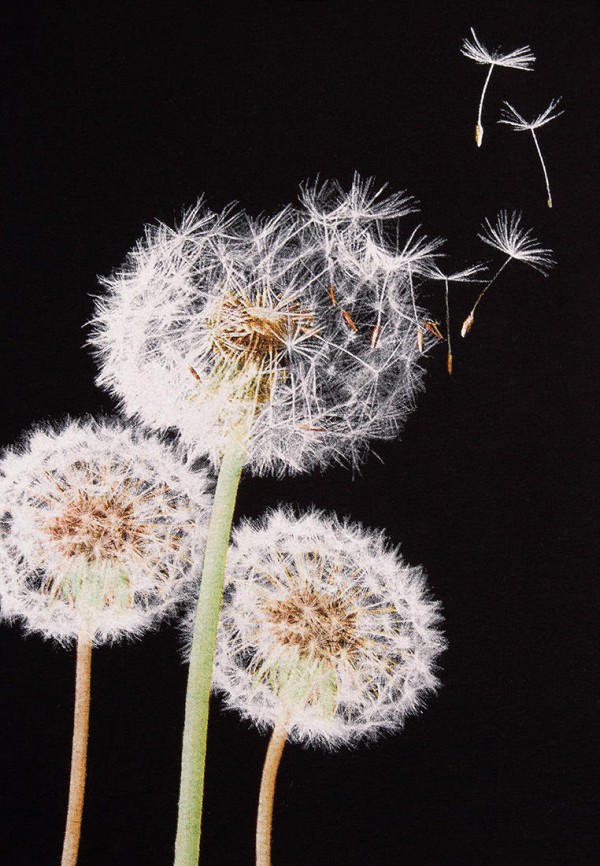 фото Футболка апрель