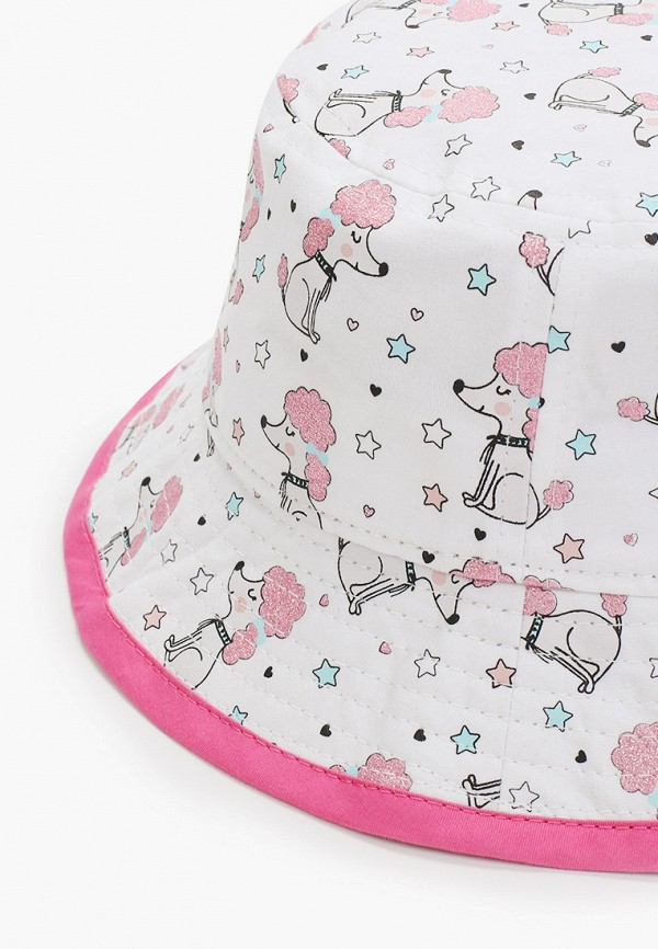 фото Панама kotik