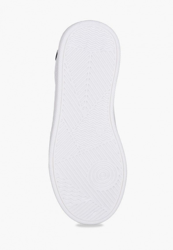 фото Кеды t.taccardi