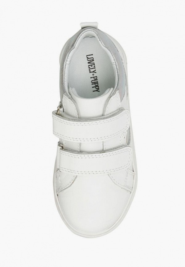 фото Кеды lovely puppy