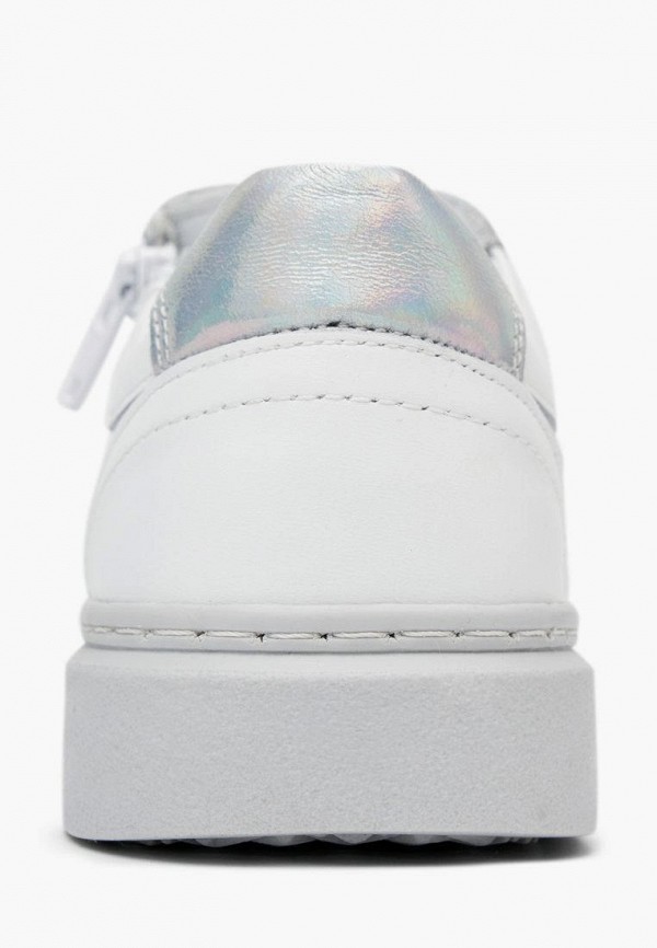 фото Кеды alessio nesca