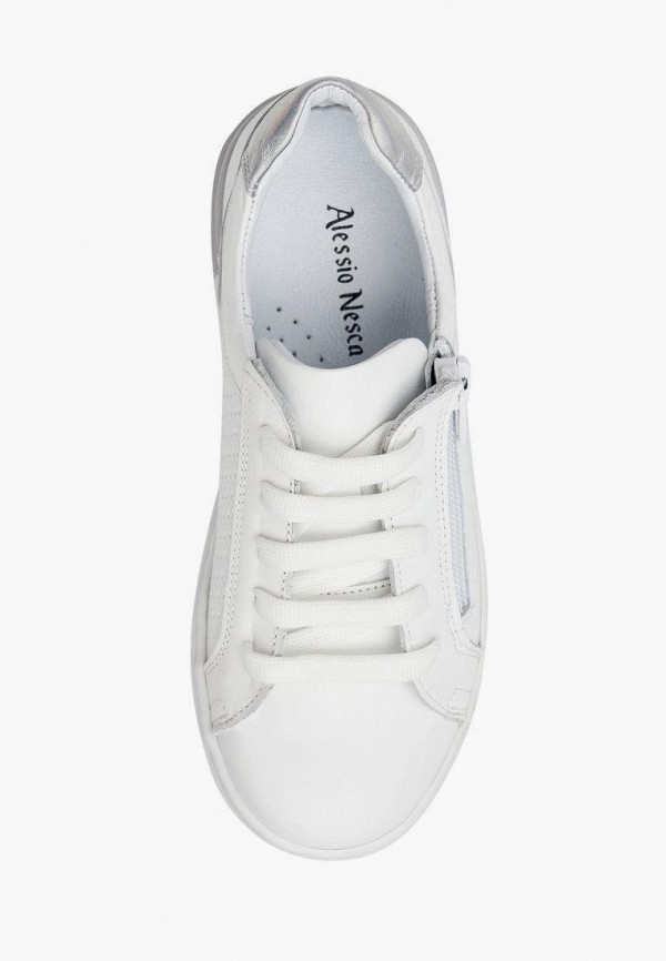 фото Кеды alessio nesca