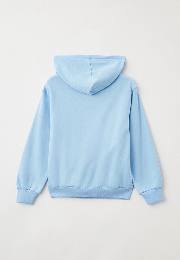 фото Худи elementarno