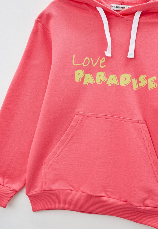 фото Худи elementarno