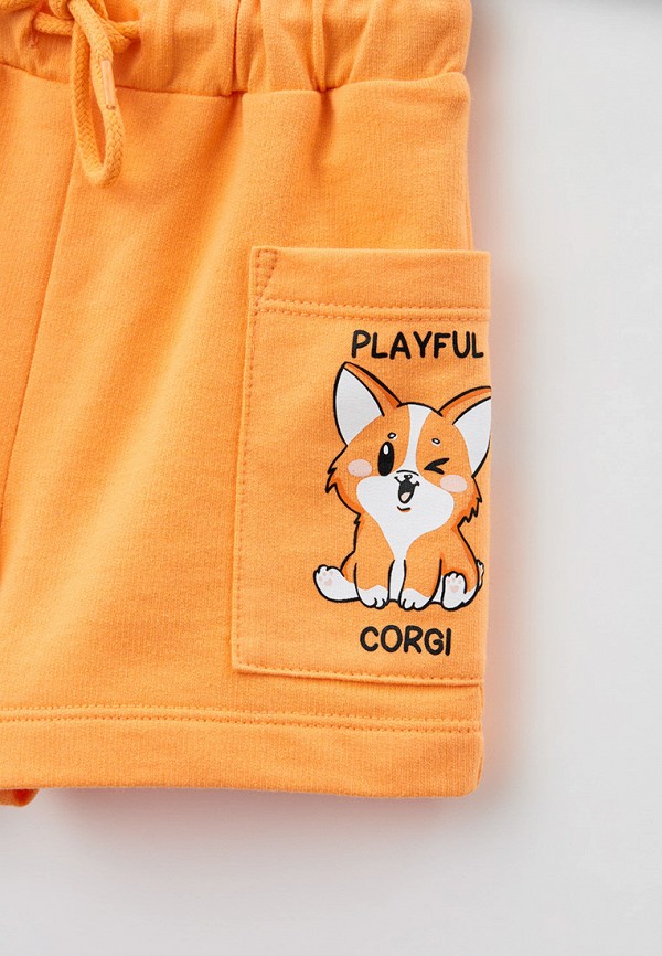 фото Шорты спортивные gloria jeans