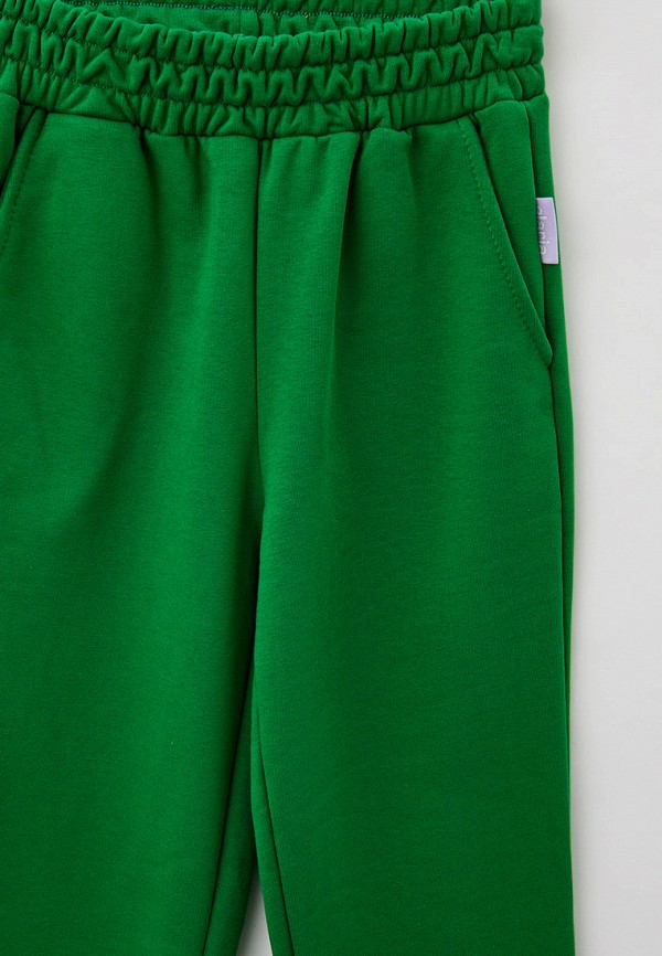 фото Брюки спортивные elaria