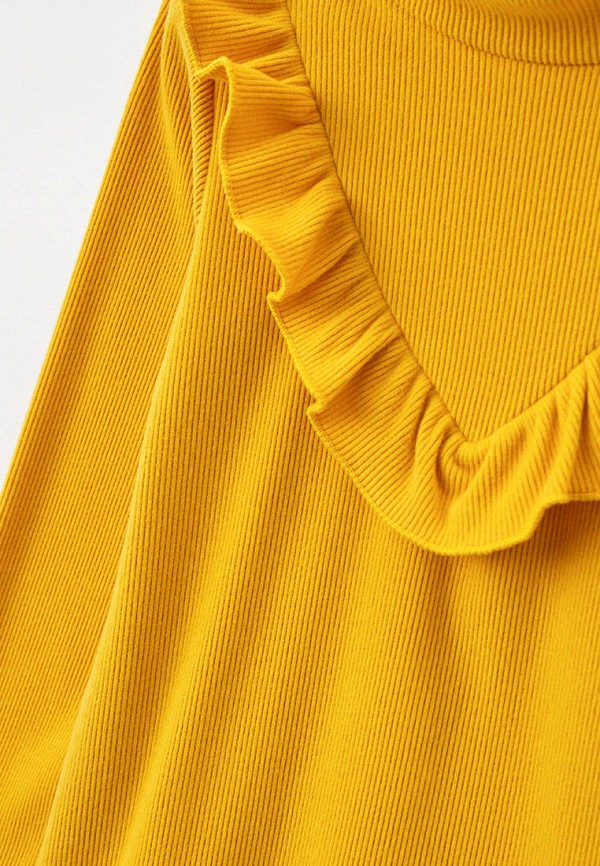 фото Водолазка mima