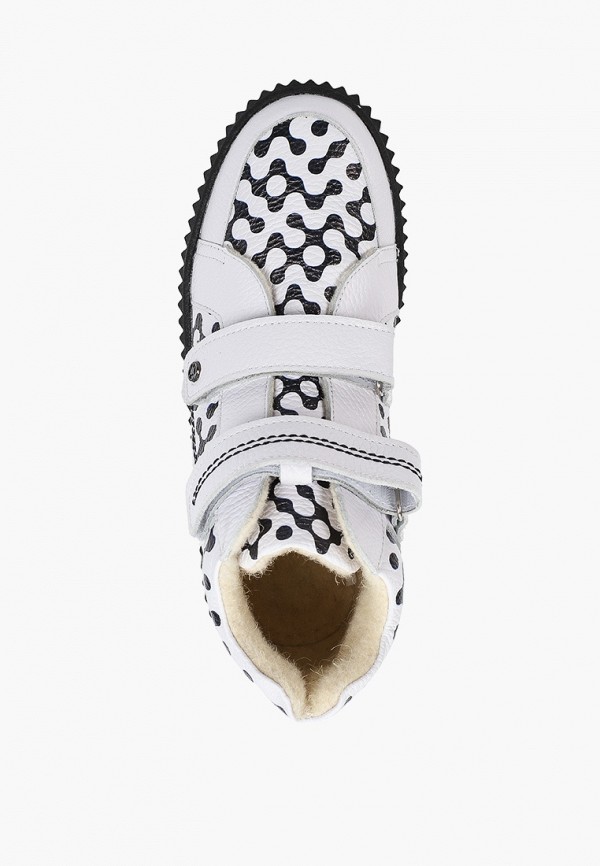 фото Кеды tapiboo