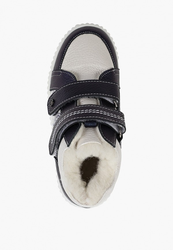 фото Ботинки tapiboo