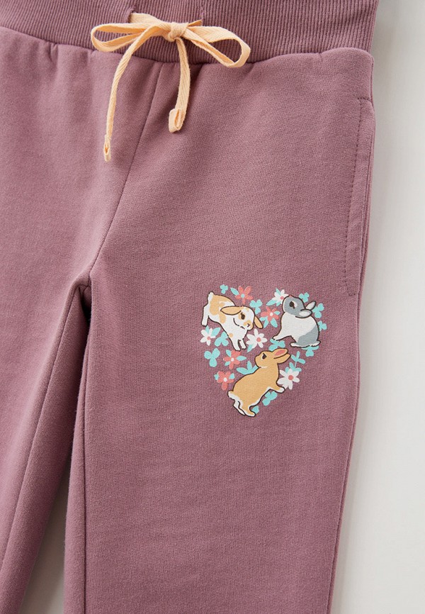 фото Брюки спортивные funday