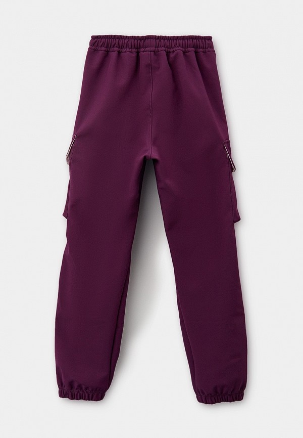 фото Брюки спортивные nikastyle