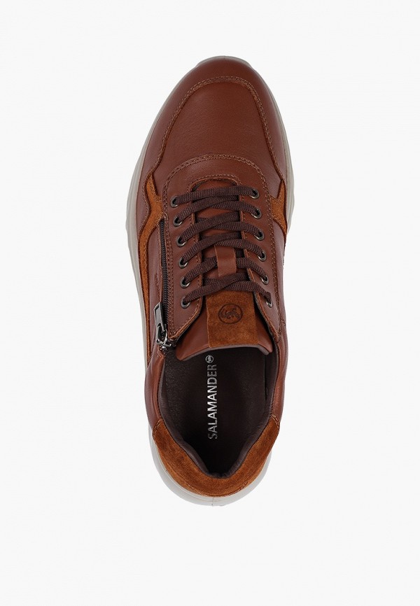 фото Кроссовки salamander