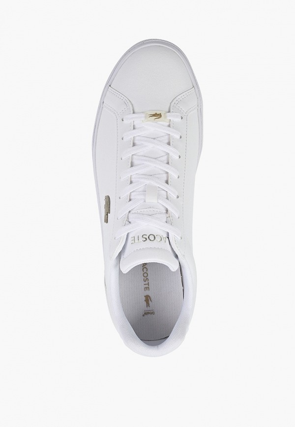 фото Кеды lacoste