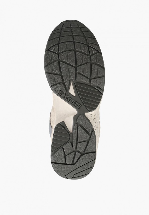 фото Кроссовки lacoste