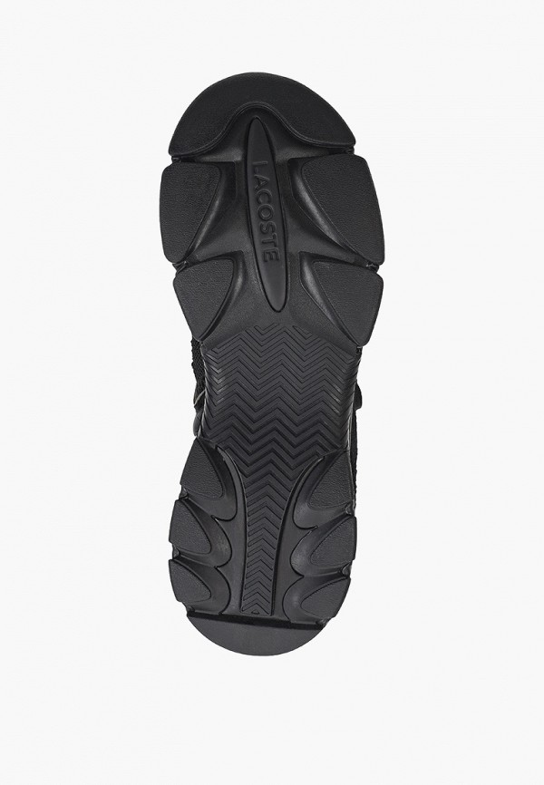 фото Кроссовки lacoste