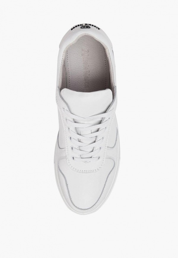 фото Кеды alessio nesca