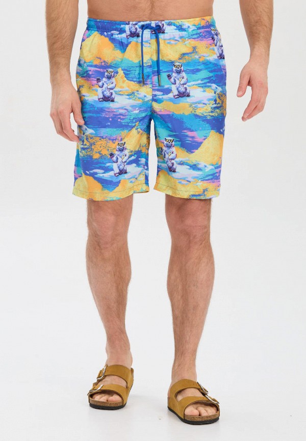 Шорты для плавания Norveg 2900₽