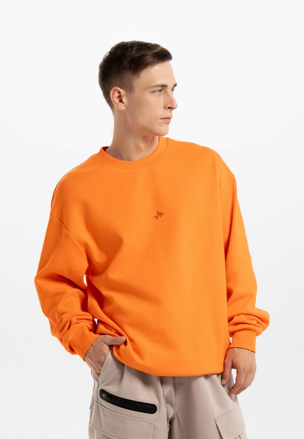 Свитшот Pulse 2299₽