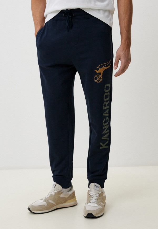 Брюки спортивные Aircraft 5650₽