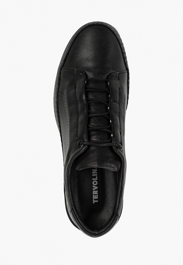 фото Кеды tervolina