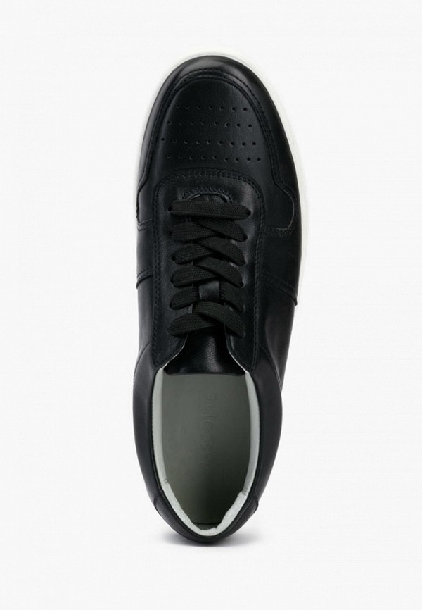 фото Кеды mascotte