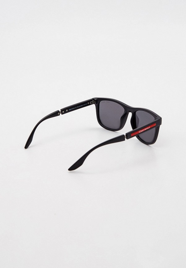 фото Очки солнцезащитные greywolf