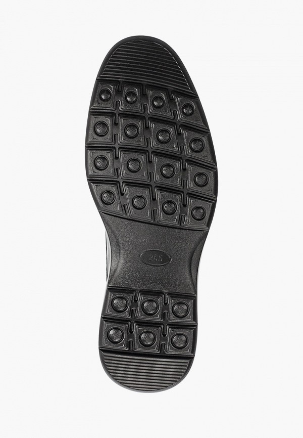 фото Туфли shoiberg