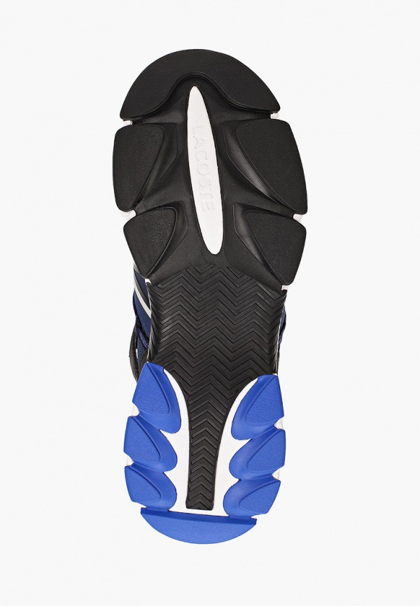 фото Кроссовки lacoste