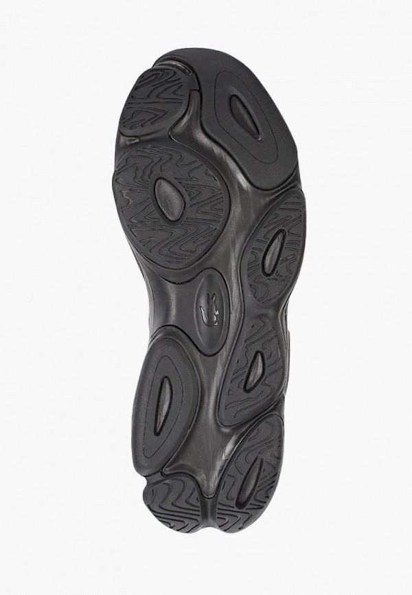 фото Кроссовки lacoste