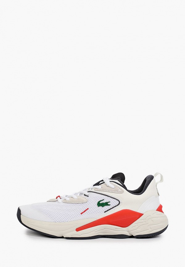 фото Кроссовки lacoste
