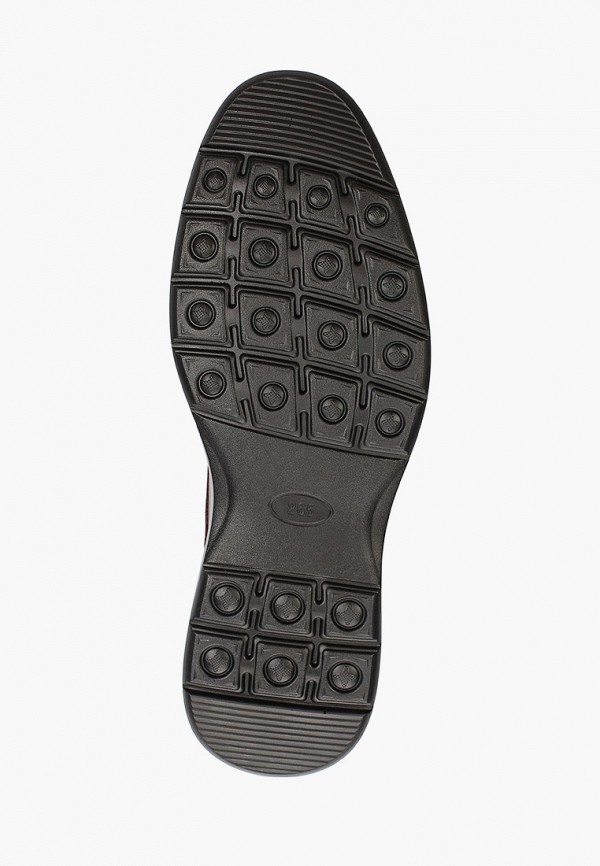 фото Туфли shoiberg