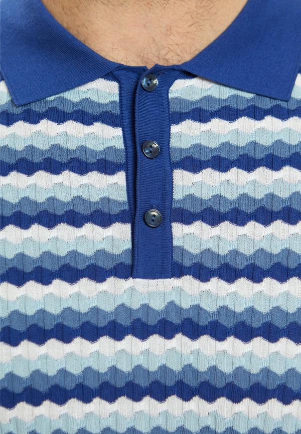 фото Поло kanzler