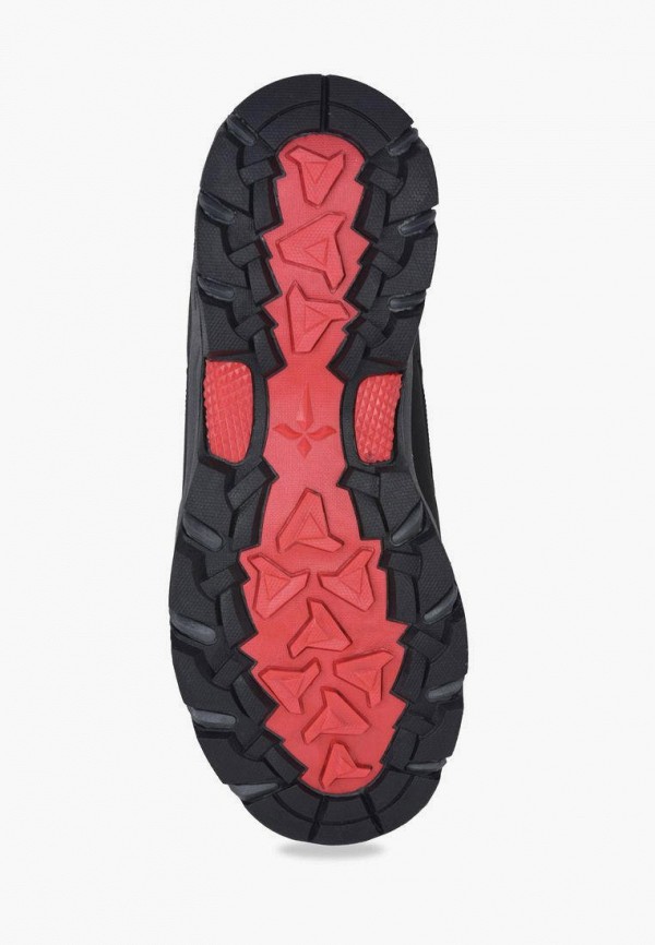 фото Кроссовки t.taccardi