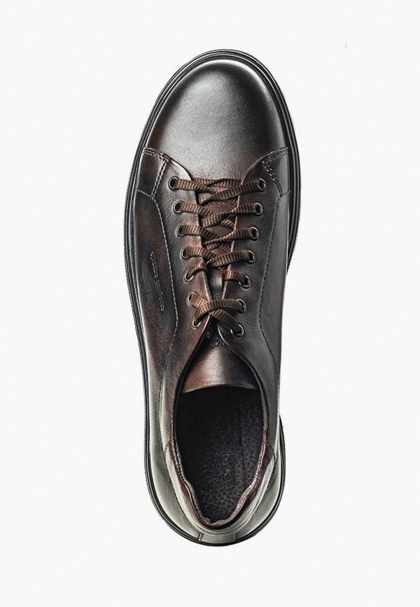 фото Кроссовки quattrocomforto