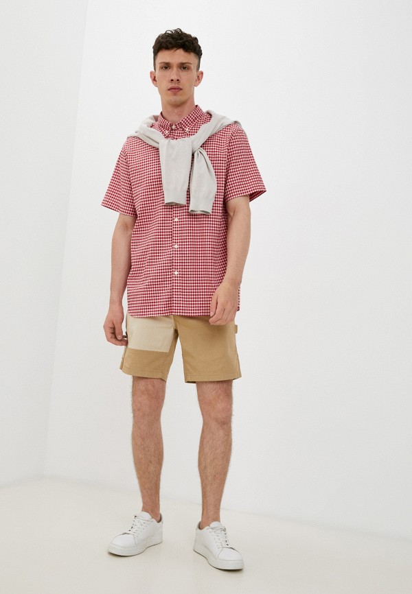 фото Шорты lacoste