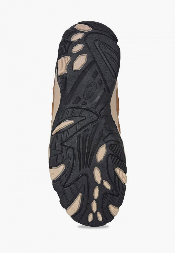 фото Кроссовки t.taccardi