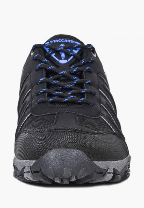 фото Кроссовки t.taccardi