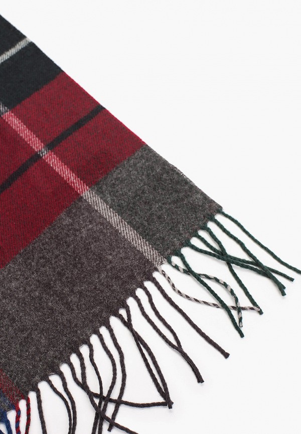 фото Шарф lilaccat