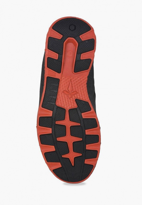 фото Ботинки t.taccardi