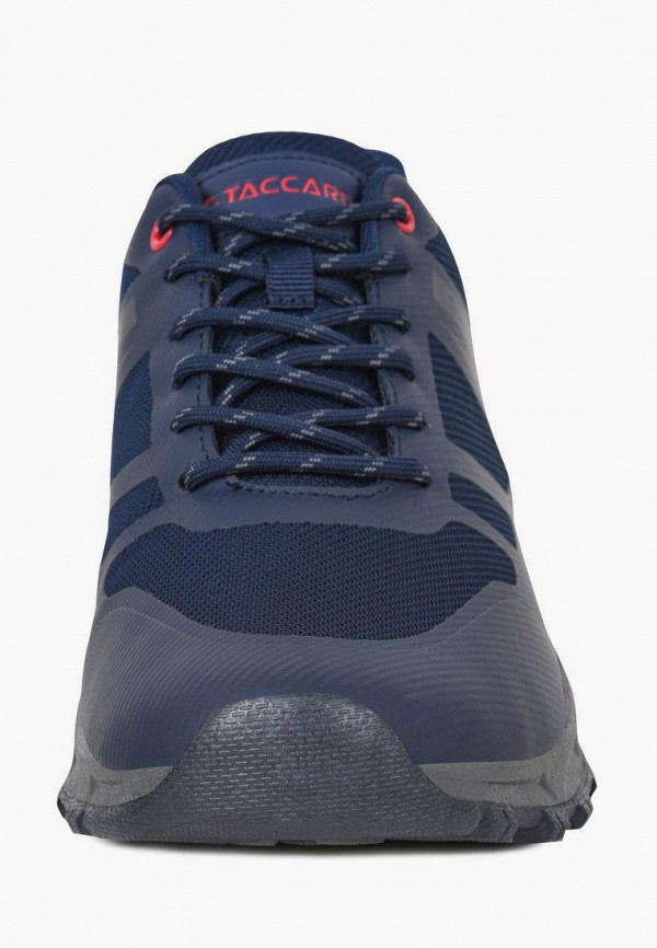 фото Кроссовки t.taccardi