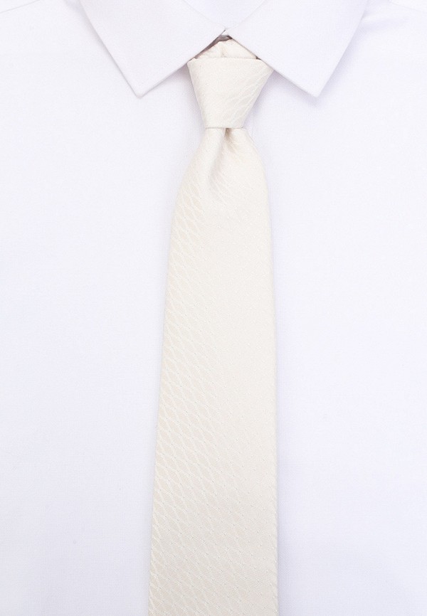 фото Галстук и платок ir.lush