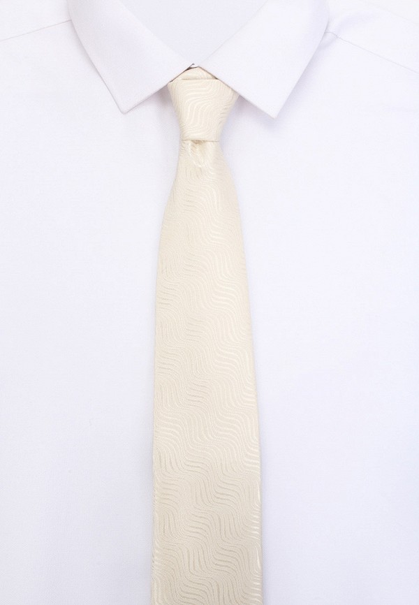 фото Галстук и платок ir.lush