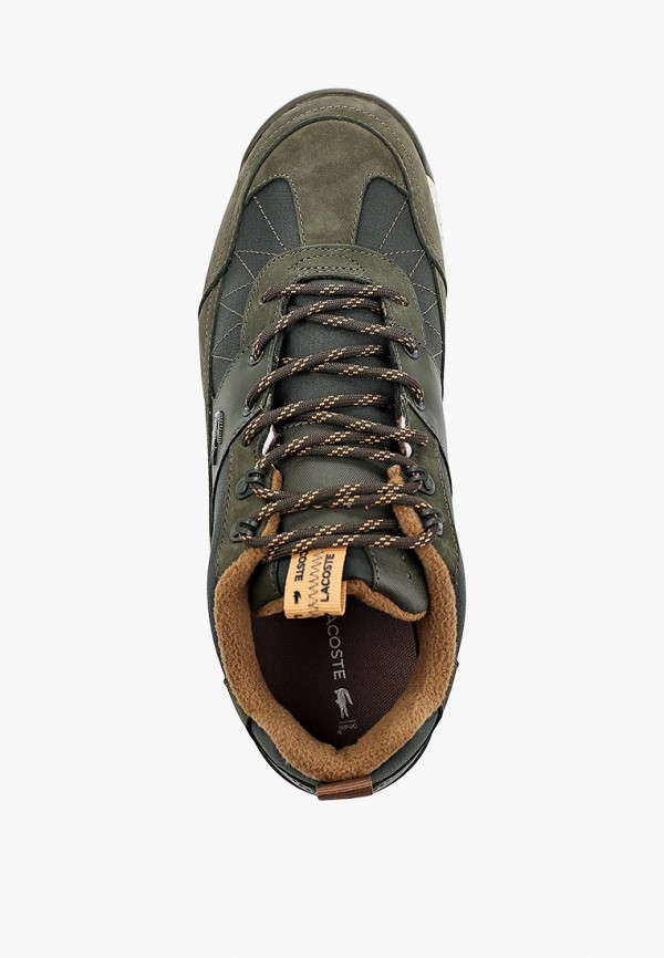 фото Кроссовки lacoste