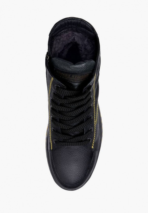 фото Кеды alessio nesca