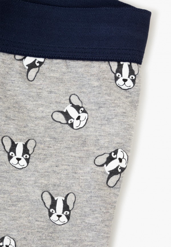 фото Трусы gloria jeans