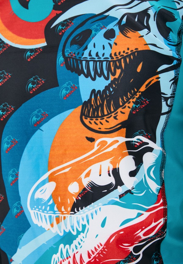 фото Лонгслив спортивный emdi