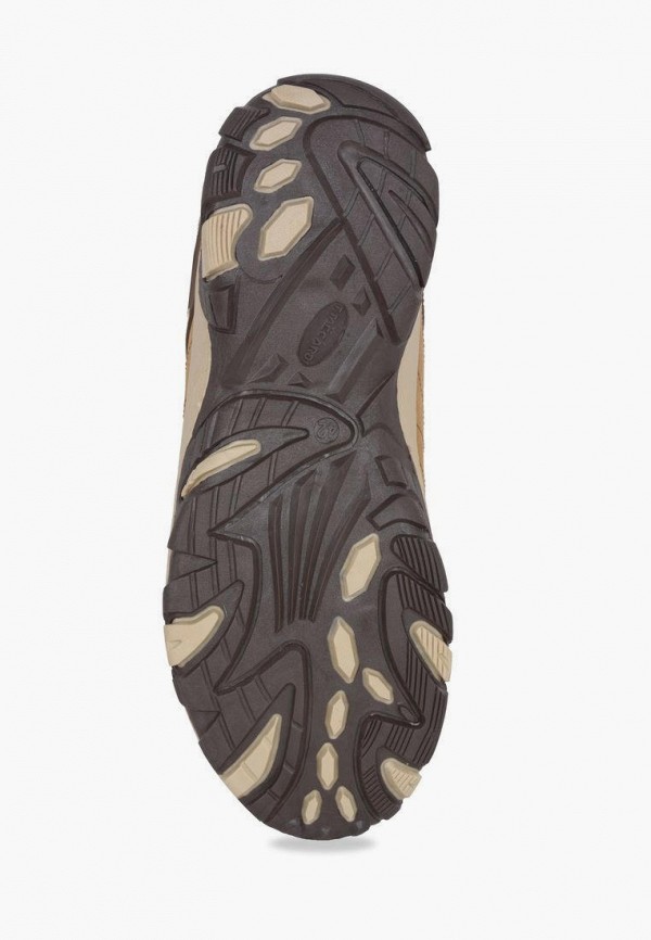 фото Кроссовки t.taccardi